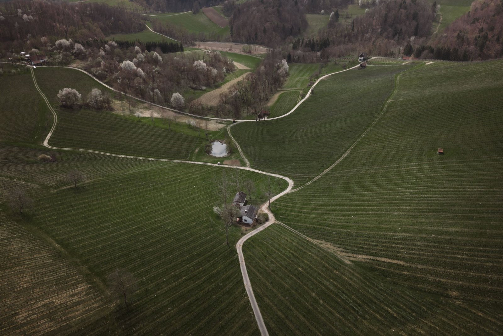 Steirische Wirtschaft online